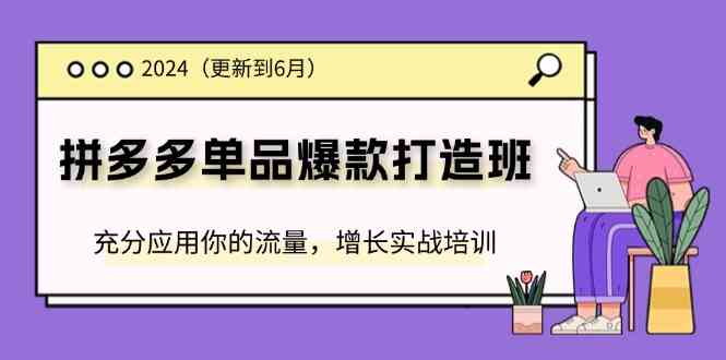 2024拼多多单品爆款打造班，充分应用你的流量，增长实战培训(更新6月)-轻创淘金网