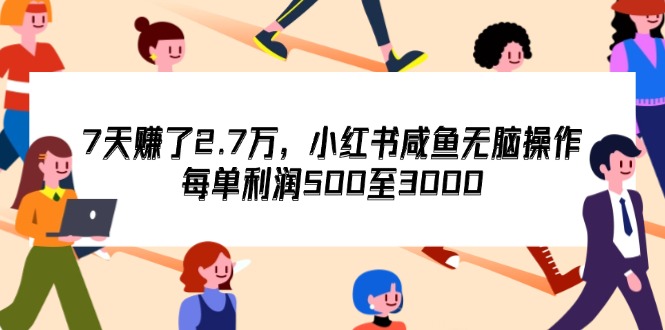 （12192期）7天收了2.7万，小红书咸鱼无脑操作，每单利润500至3000-轻创淘金网