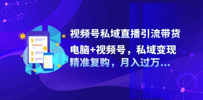 （12249期）视频号私域直播引流带货：电脑+视频号，私域变现，精准复购，月入过万…-轻创淘金网